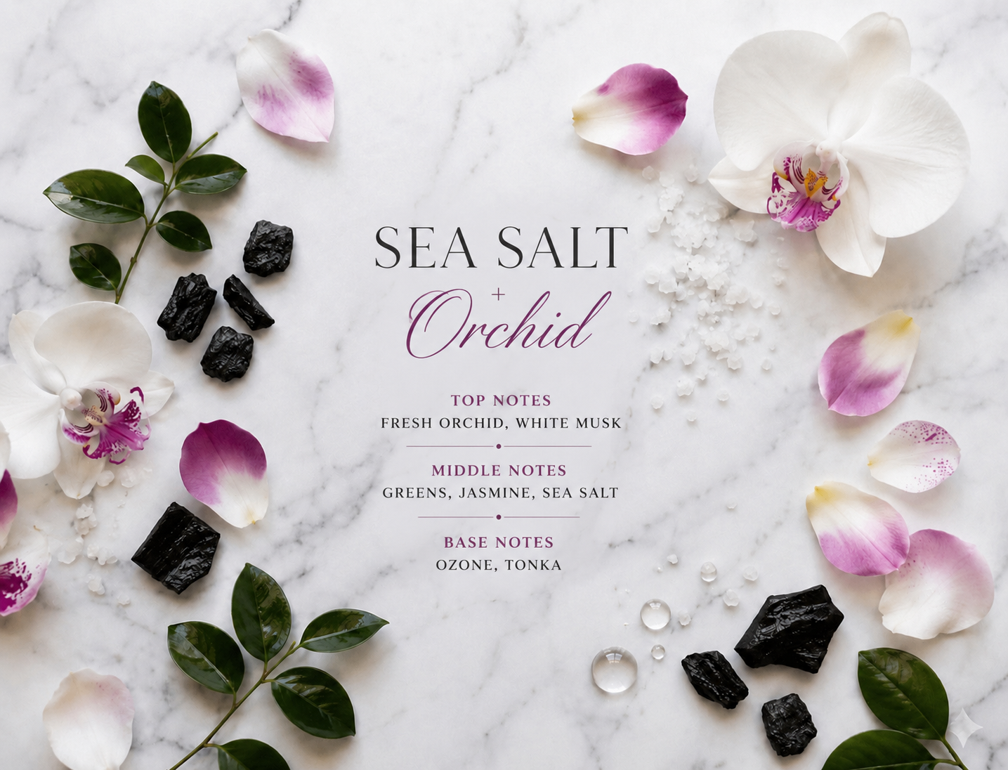 Sea Salt+ Orchid